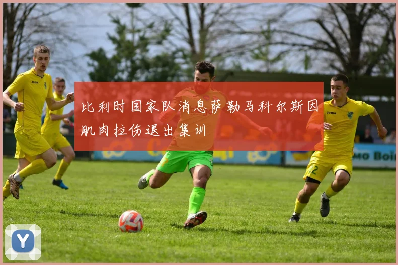 比利时国家队消息萨勒马科尔斯因肌肉拉伤退出集训