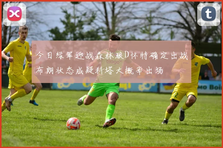 今日绿军迎战森林狼D怀特确定出战布朗状态成疑科塔大概率出场