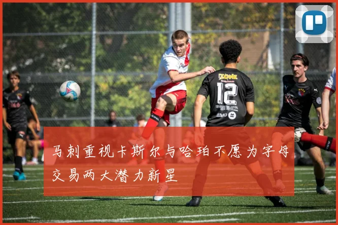 马刺重视卡斯尔与哈珀不愿为字母交易两大潜力新星